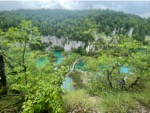 resIMG_20220608_144837_IMG_8603_HEIC.jpg